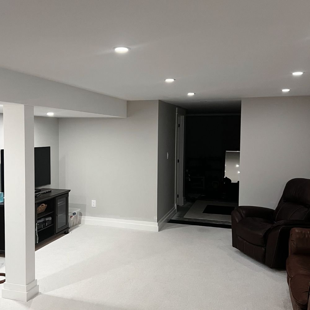 Full Basement Reno